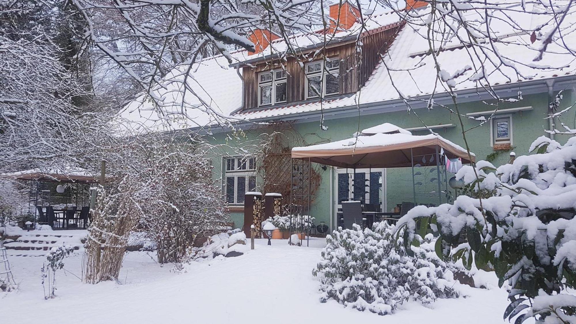 Ferienhaus Salvia Gremersdorf-Buchholz Zewnętrze zdjęcie