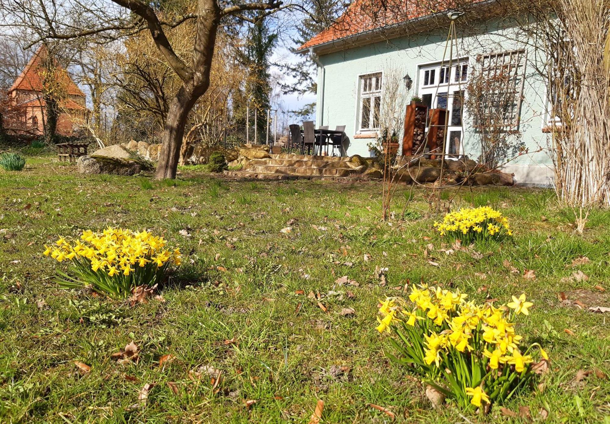 Ferienhaus Salvia Gremersdorf-Buchholz Zewnętrze zdjęcie