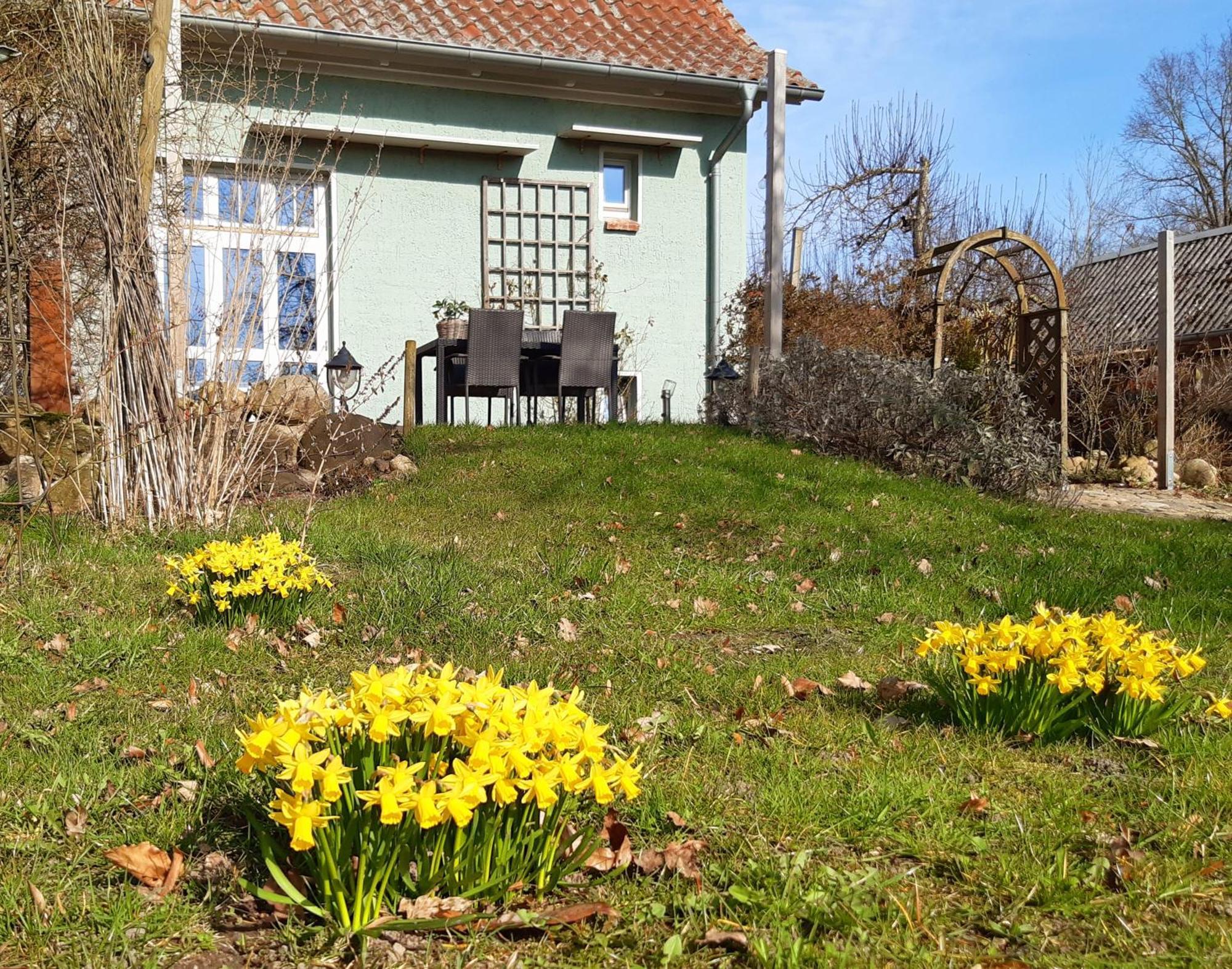 Ferienhaus Salvia Gremersdorf-Buchholz Zewnętrze zdjęcie