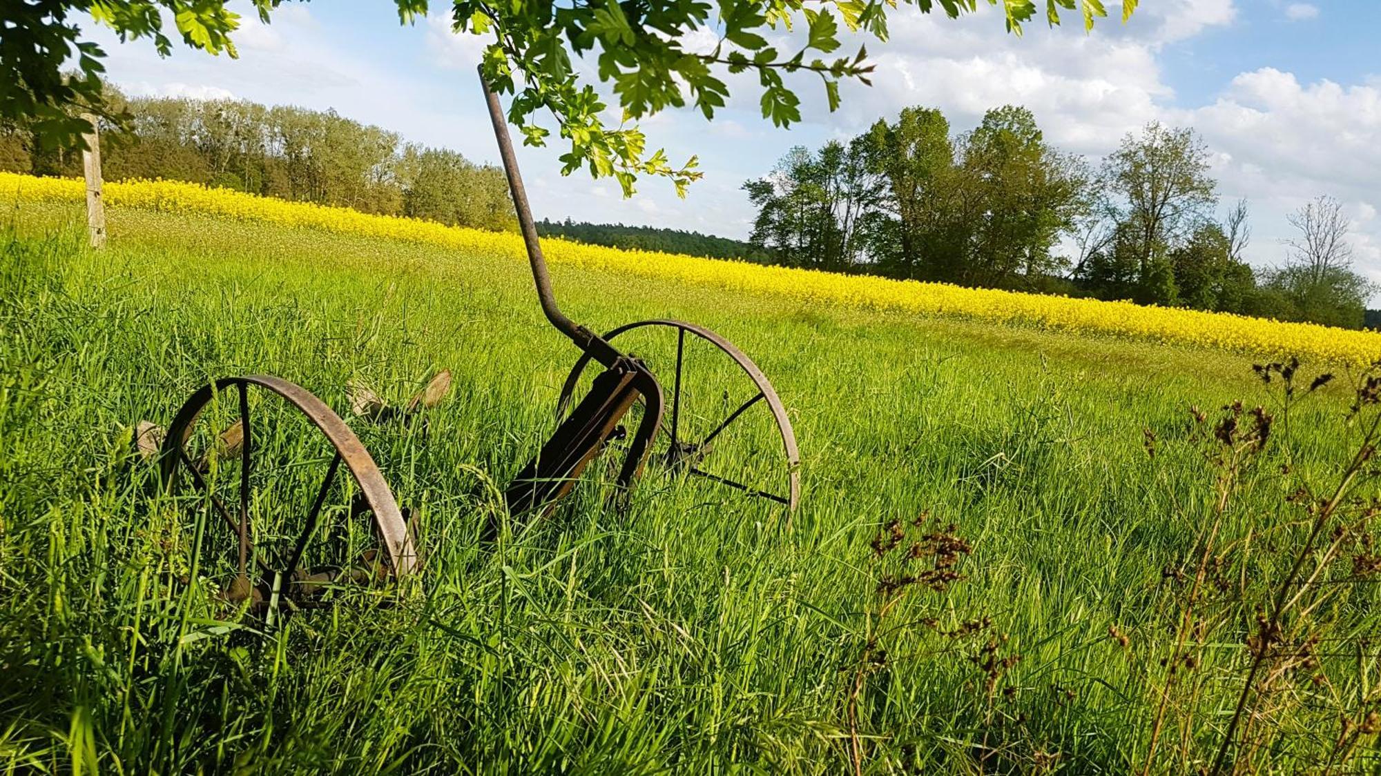 Ferienhaus Salvia Gremersdorf-Buchholz Zewnętrze zdjęcie