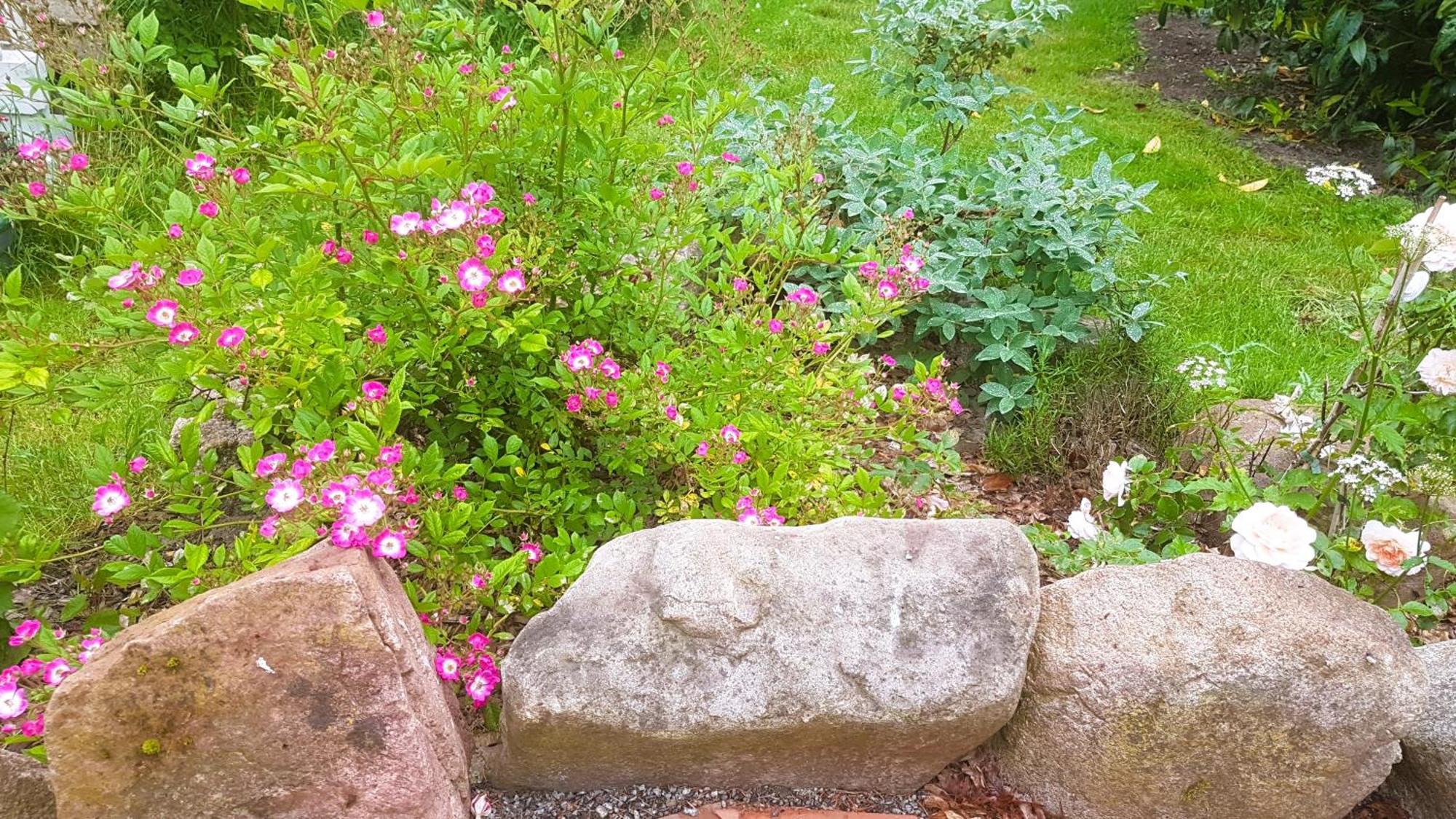 Ferienhaus Salvia Gremersdorf-Buchholz Zewnętrze zdjęcie