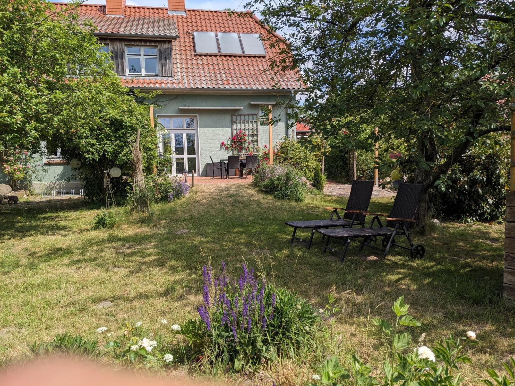 Ferienhaus Salvia Gremersdorf-Buchholz Zewnętrze zdjęcie
